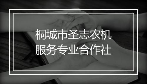 桐城市圣志农机服务专业合作社