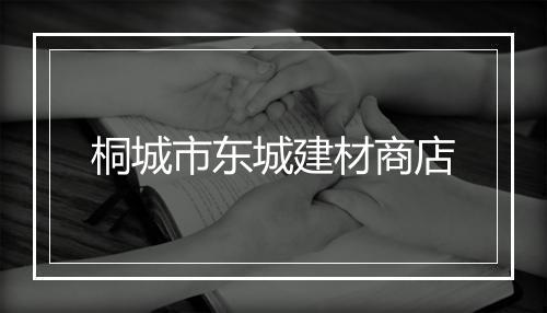 桐城市东城建材商店