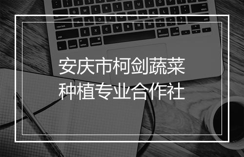 安庆市柯剑蔬菜种植专业合作社