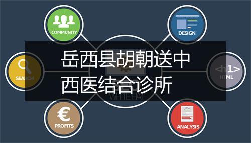 岳西县胡朝送中西医结合诊所