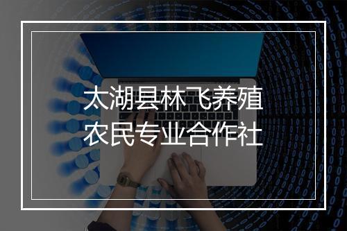 太湖县林飞养殖农民专业合作社