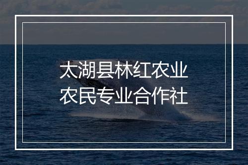太湖县林红农业农民专业合作社