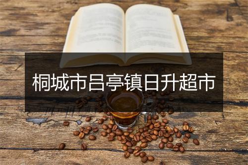 桐城市吕亭镇日升超市
