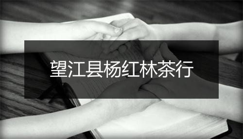 望江县杨红林茶行