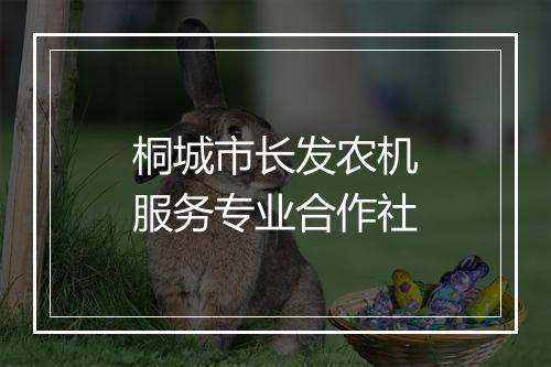桐城市长发农机服务专业合作社