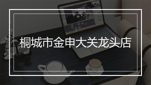 桐城市金申大关龙头店