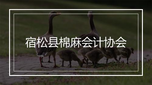 宿松县棉麻会计协会