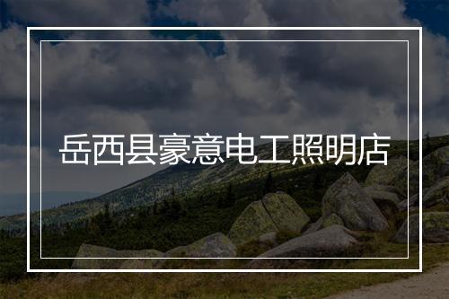 岳西县豪意电工照明店