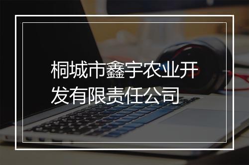 桐城市鑫宇农业开发有限责任公司