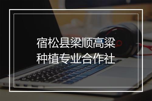 宿松县梁顺高粱种植专业合作社