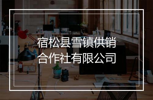 宿松县雪镇供销合作社有限公司