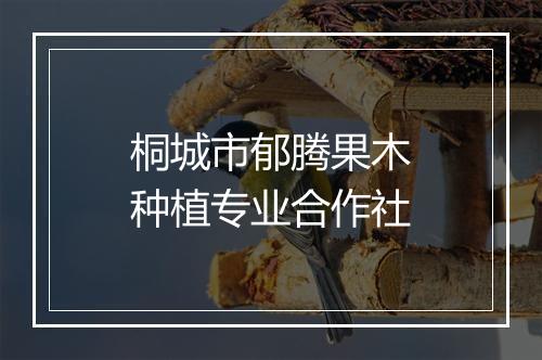 桐城市郁腾果木种植专业合作社