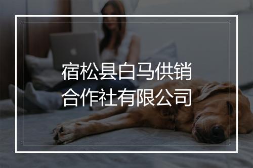 宿松县白马供销合作社有限公司