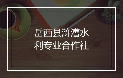 岳西县浒漕水利专业合作社