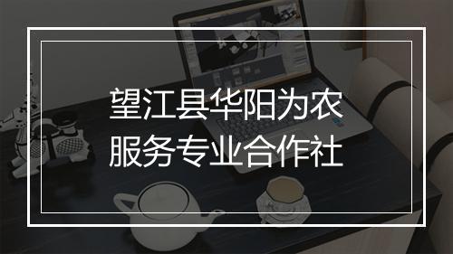 望江县华阳为农服务专业合作社
