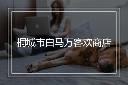 桐城市白马万客欢商店