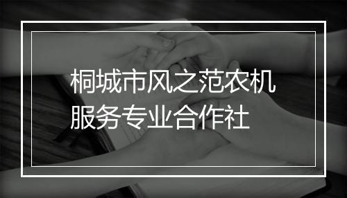 桐城市风之范农机服务专业合作社
