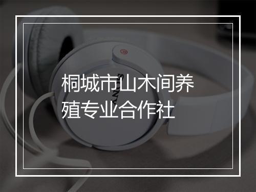 桐城市山木间养殖专业合作社