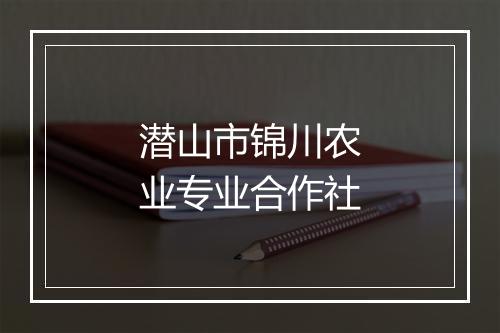 潜山市锦川农业专业合作社