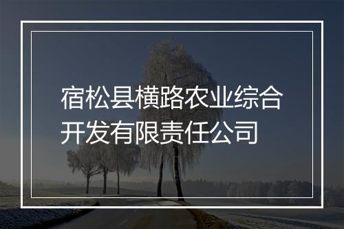宿松县横路农业综合开发有限责任公司