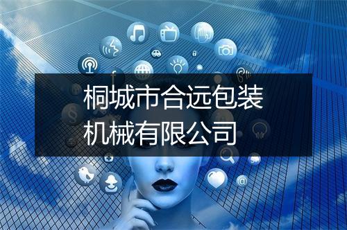 桐城市合远包装机械有限公司