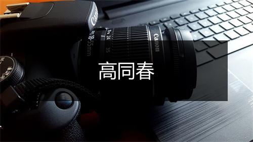高同春
