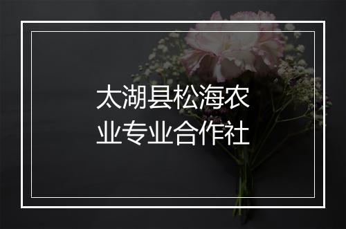 太湖县松海农业专业合作社