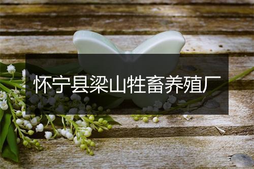 怀宁县梁山牲畜养殖厂
