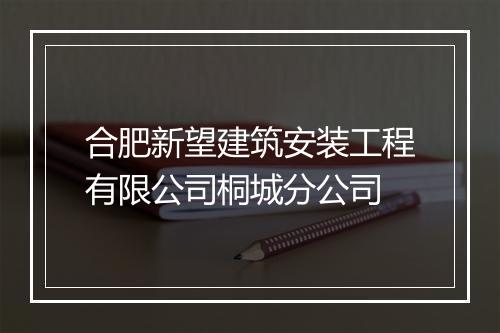 合肥新望建筑安装工程有限公司桐城分公司