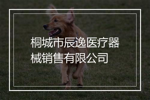 桐城市辰逸医疗器械销售有限公司