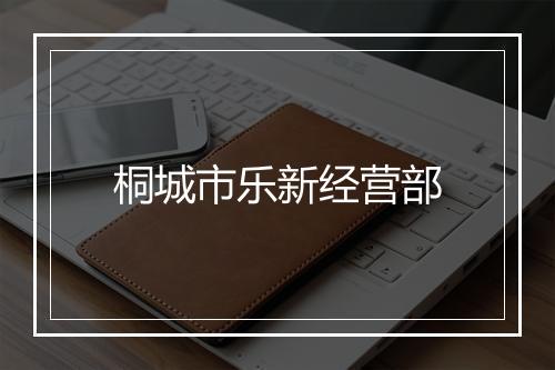 桐城市乐新经营部