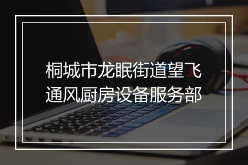 桐城市龙眠街道望飞通风厨房设备服务部