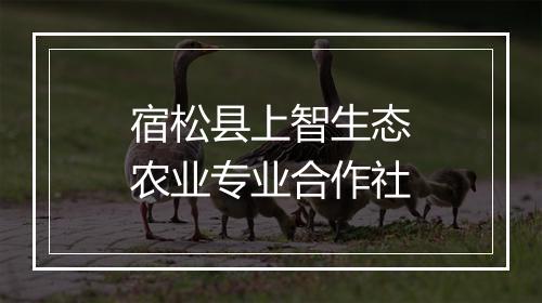 宿松县上智生态农业专业合作社