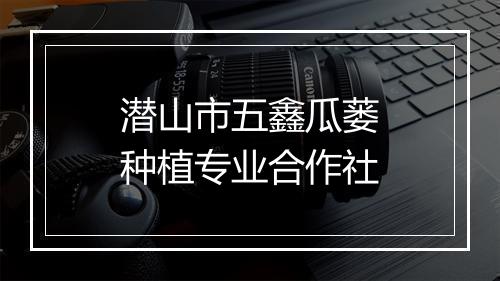 潜山市五鑫瓜蒌种植专业合作社