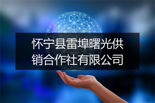 怀宁县雷埠曙光供销合作社有限公司