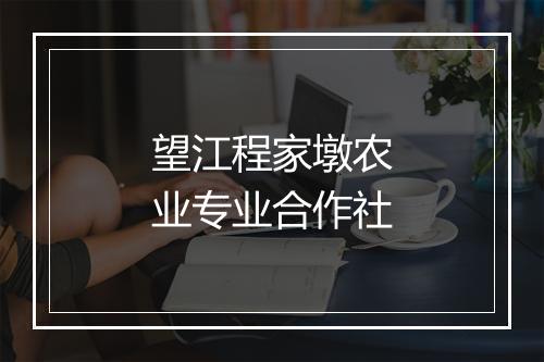 望江程家墩农业专业合作社