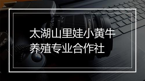 太湖山里娃小黄牛养殖专业合作社