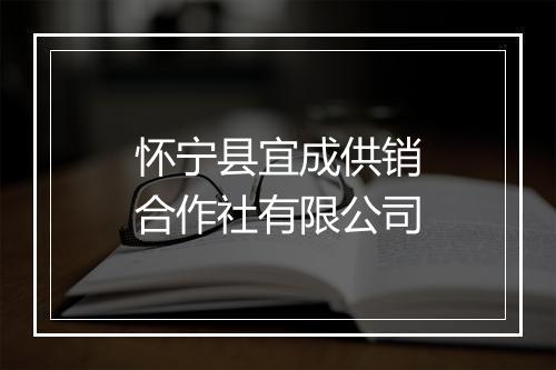 怀宁县宜成供销合作社有限公司