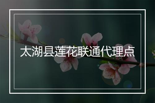 太湖县莲花联通代理点