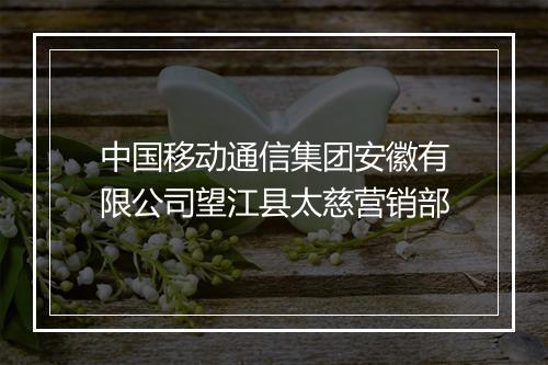 中国移动通信集团安徽有限公司望江县太慈营销部