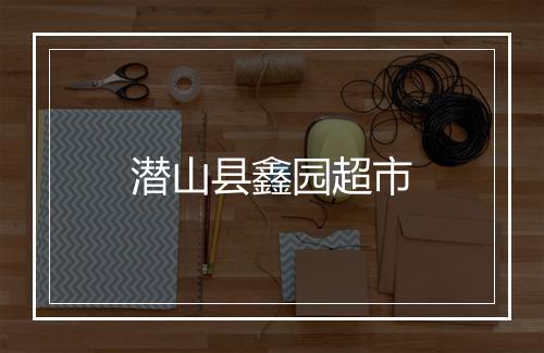 潜山县鑫园超市