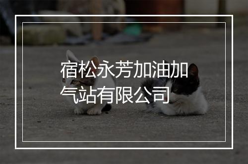 宿松永芳加油加气站有限公司