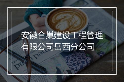 安徽合巢建设工程管理有限公司岳西分公司
