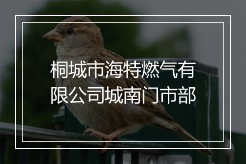 桐城市海特燃气有限公司城南门市部