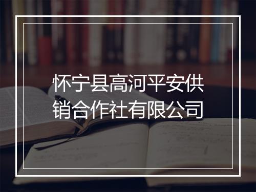 怀宁县高河平安供销合作社有限公司