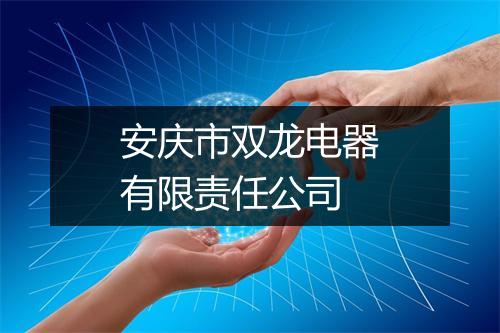 安庆市双龙电器有限责任公司