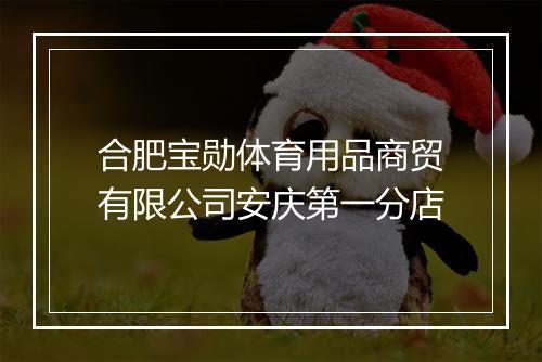 合肥宝勋体育用品商贸有限公司安庆第一分店