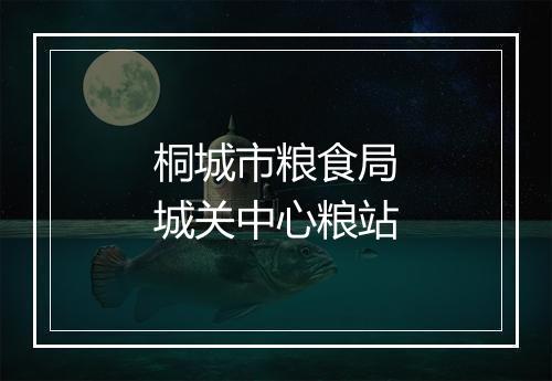 桐城市粮食局城关中心粮站