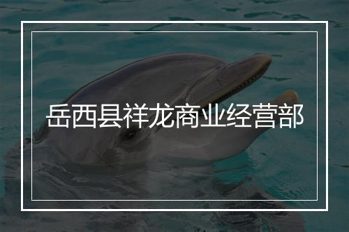 岳西县祥龙商业经营部