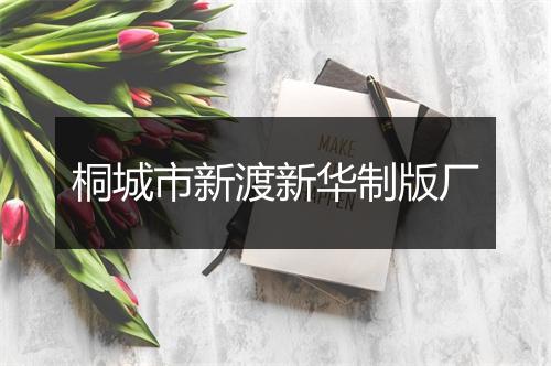 桐城市新渡新华制版厂